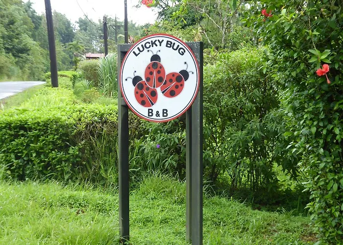 Lucky Bug 3* Nuevo Arenal