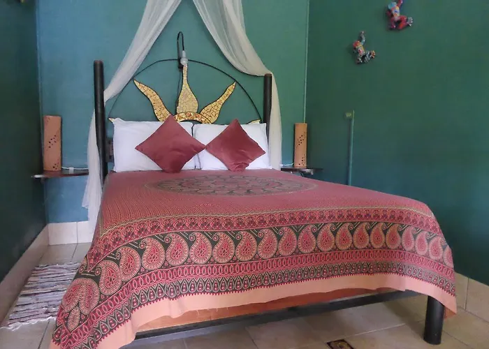 Bed & Breakfast Lucky Bug